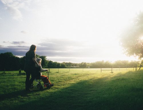 dominik-lange-VUOiQW4OeLI-unsplash dominik-lange-VUOiQW4OeLI-unsplash